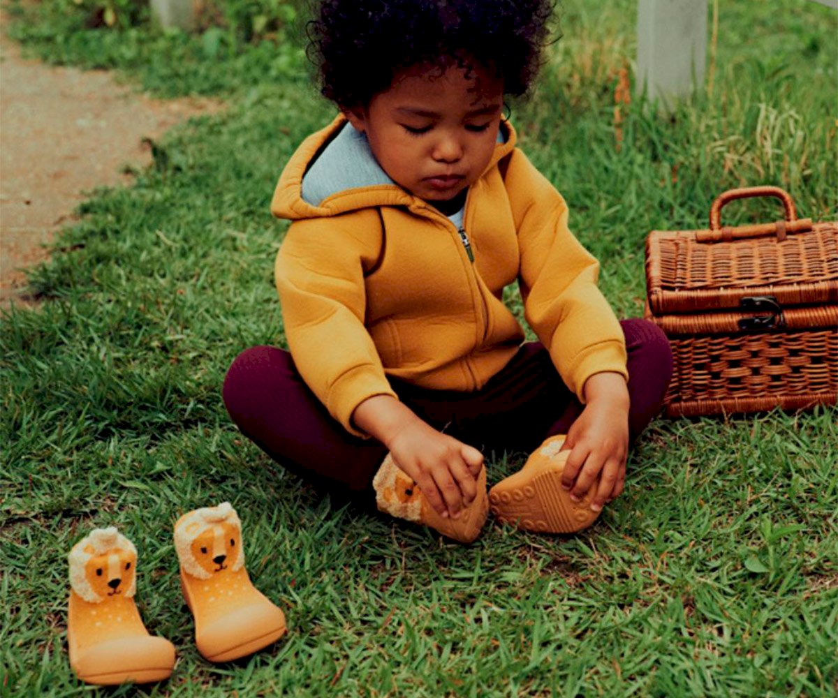 Attipas - zootopia lion