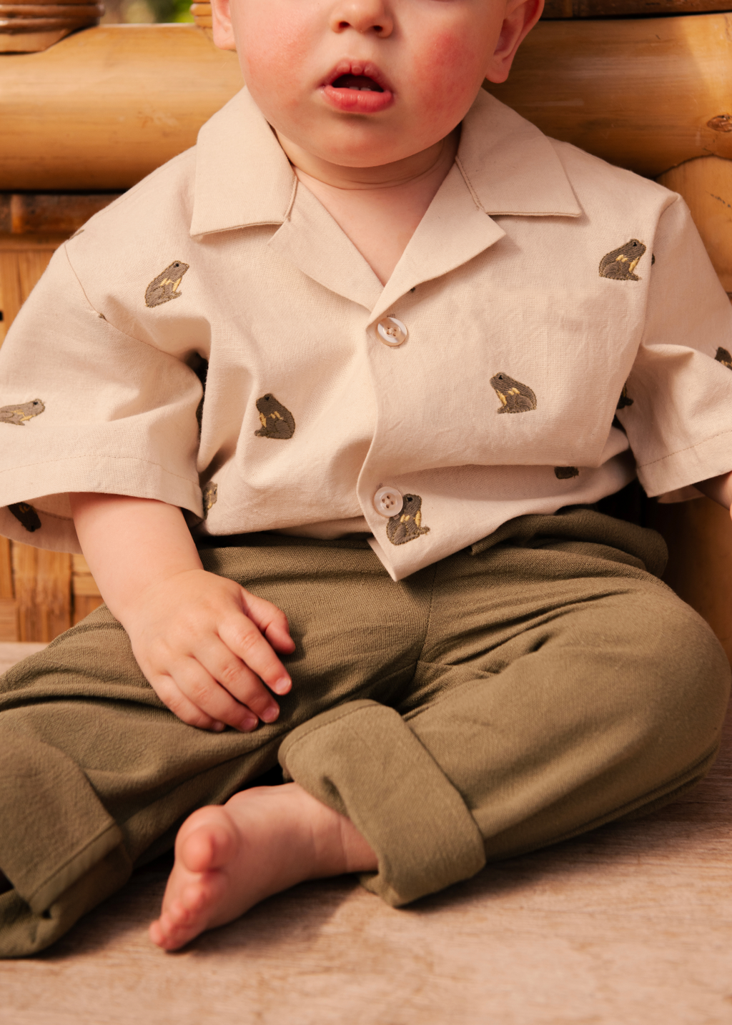 Donsje - camicia Lino frog